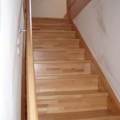 Treppebuchemitsetzstufen 2